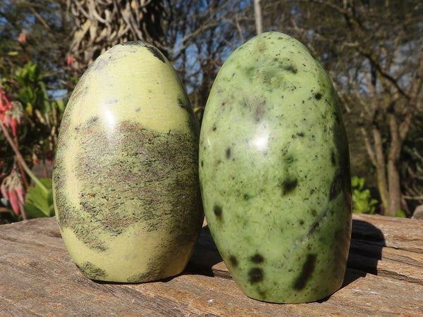 Polished Spotted Leopard Stone Standing Free Forms  x 6 From Zimbabwe - Toprock Gemstones and Minerals 