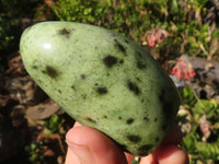 Polished Spotted Leopard Stone Standing Free Forms  x 6 From Zimbabwe - Toprock Gemstones and Minerals 