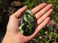 Polished Spotted Leopard Stone Standing Free Forms  x 6 From Zimbabwe - Toprock Gemstones and Minerals 