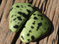 Polished Spotted Leopard Stone Standing Free Forms  x 6 From Zimbabwe - Toprock Gemstones and Minerals 