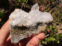 Natural Brandberg Quartz Matrix Specimens x 12 From Brandberg, Namibia