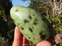 Polished Spotted Leopard Stone Standing Free Forms  x 6 From Zimbabwe - Toprock Gemstones and Minerals 