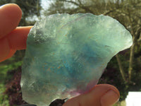 Natural Selected Watermelon Fluorite Cobbed Pieces x 24 From Uis, Namibia - TopRock