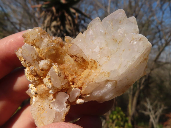 Natural Brandberg Quartz Matrix Specimens x 12 From Brandberg, Namibia