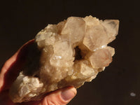 Natural Cascading Smokey Quartz Clusters x 2 From Luena, Congo