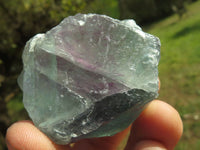 Natural Selected Watermelon Fluorite Cobbed Pieces x 24 From Uis, Namibia - TopRock