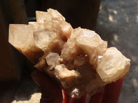 Natural Cascading Smokey Quartz Clusters x 2 From Luena, Congo