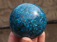 Polished Conglomerate Chrysocolla Spheres  x 2 From Congo