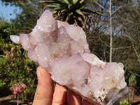 Natural Spirit Amethyst Quartz Clusters  x 2 From Boekenhouthoek, South Africa - Toprock Gemstones and Minerals 