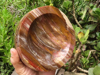 Polished Petrified Podocarpus Wood Dish x 1 From Mahajanga, Madagascar - TopRock