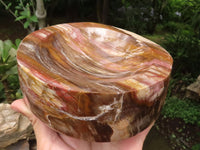 Polished Petrified Podocarpus Wood Dish x 1 From Mahajanga, Madagascar - TopRock