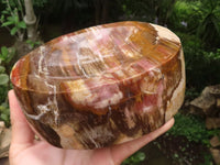 Polished Petrified Podocarpus Wood Dish x 1 From Mahajanga, Madagascar - TopRock