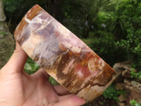 Polished Petrified Podocarpus Wood Dish x 1 From Mahajanga, Madagascar - TopRock