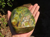 Polished Green Opal Standing Free Form  x 1 From Antsirabe, Madagascar - Toprock Gemstones and Minerals 