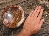 Polished Petrified Podocarpus Wood Dish x 1 From Mahajanga, Madagascar - TopRock