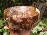 Polished Petrified Podocarpus Wood Dish x 1 From Mahajanga, Madagascar - TopRock