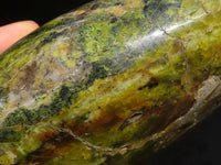 Polished Green Opal Standing Free Form  x 1 From Antsirabe, Madagascar - Toprock Gemstones and Minerals 