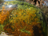 Polished Green Opal Standing Free Form  x 1 From Antsirabe, Madagascar - Toprock Gemstones and Minerals 