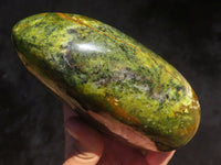 Polished Green Opal Standing Free Form  x 1 From Antsirabe, Madagascar - Toprock Gemstones and Minerals 