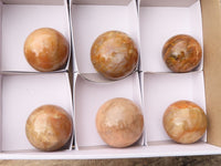 Polished Gorgeous Peach Moonstone Spheres  x 6 From Madagascar - Toprock Gemstones and Minerals 