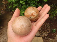 Polished Gorgeous Peach Moonstone Spheres  x 6 From Madagascar - Toprock Gemstones and Minerals 