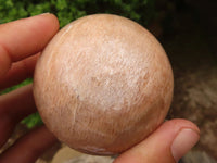 Polished Gorgeous Peach Moonstone Spheres  x 6 From Madagascar - Toprock Gemstones and Minerals 