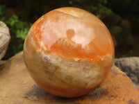 Polished Gorgeous Peach Moonstone Spheres  x 6 From Madagascar - Toprock Gemstones and Minerals 