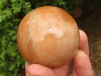 Polished Gorgeous Peach Moonstone Spheres  x 6 From Madagascar - Toprock Gemstones and Minerals 