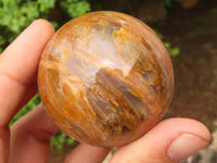 Polished Gorgeous Peach Moonstone Spheres  x 6 From Madagascar - Toprock Gemstones and Minerals 