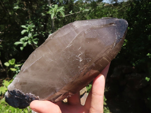 Polished Smokey Morion Quartz Crystals  x 3 From Melanje, Malawi - TopRock