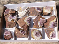 Natural Amethyst In Basalt Geode Specimens  x 12 From Zululand, South Africa - TopRock