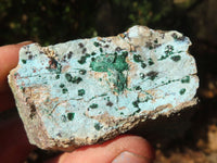 Natural Blue Chrysocolla With Malachite Dolomite Specimens x 5 from Congo