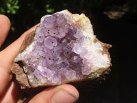 Natural Amethyst In Basalt Geode Specimens  x 12 From Zululand, South Africa - TopRock