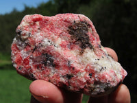 Natural Rhodonite, Quartz, Chromite Cobbed Rough Pieces  x 6 From Rushinga, Zimbabwe - TopRock