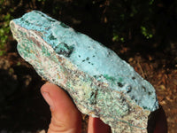 Natural Blue Chrysocolla With Malachite Dolomite Specimens x 5 from Congo