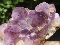 Natural Amethyst In Basalt Geode Specimens  x 12 From Zululand, South Africa - TopRock