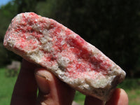 Natural Rhodonite, Quartz, Chromite Cobbed Rough Pieces  x 6 From Rushinga, Zimbabwe - TopRock