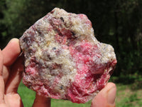 Natural Rhodonite, Quartz, Chromite Cobbed Rough Pieces  x 6 From Rushinga, Zimbabwe - TopRock