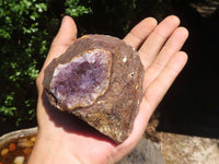 Natural Amethyst In Basalt Geode Specimens  x 12 From Zululand, South Africa - TopRock