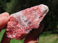 Natural Rhodonite, Quartz, Chromite Cobbed Rough Pieces  x 6 From Rushinga, Zimbabwe - TopRock