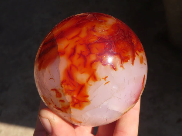 Polished Carnelian Agate Spheres  x 3 From Madagascar