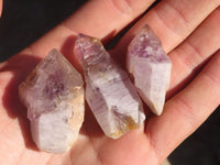 Natural Amethyst Sceptre Crystals x 70 From Zululand, South Africa