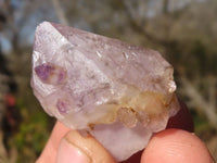 Natural Amethyst Sceptre Crystals x 70 From Zululand, South Africa