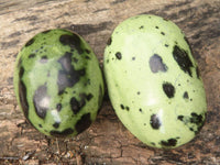 Polished Spotted Leopard Stone Gallets  x 12 From Nyanga & Shamva, Zimbabwe - Toprock Gemstones and Minerals 