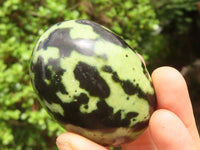 Polished Spotted Leopard Stone Gallets  x 12 From Nyanga & Shamva, Zimbabwe - Toprock Gemstones and Minerals 