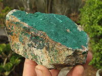 Natural Micro Botryoidal Crystalline Malachite Specimens  x 6 From Congo