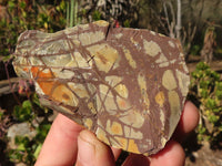 Natural Nguni Jasper Cobbed Specimens  x 27 From Northern Cape, South Africa