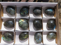 Polished Flashy Labradorite Palm Stones  x 12 From Tulear, Madagascar - TopRock