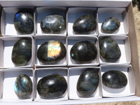 Polished Flashy Labradorite Palm Stones  x 12 From Tulear, Madagascar - TopRock