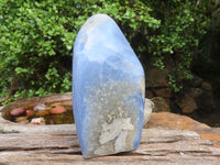 Polished Blue Lace Agate Standing Free Forms  x 2 From Nsanje, Malawi - Toprock Gemstones and Minerals 